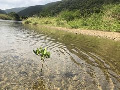 ̃}O[uJk[c[Oւ̓eʐ^1