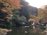 poporon̍䋬̍gt̓eʐ^5