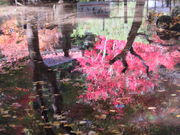 ҁ[񂳂̐󎛒뉀̓eʐ^3