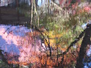 ҁ[񂳂̐󎛒뉀̓eʐ^4