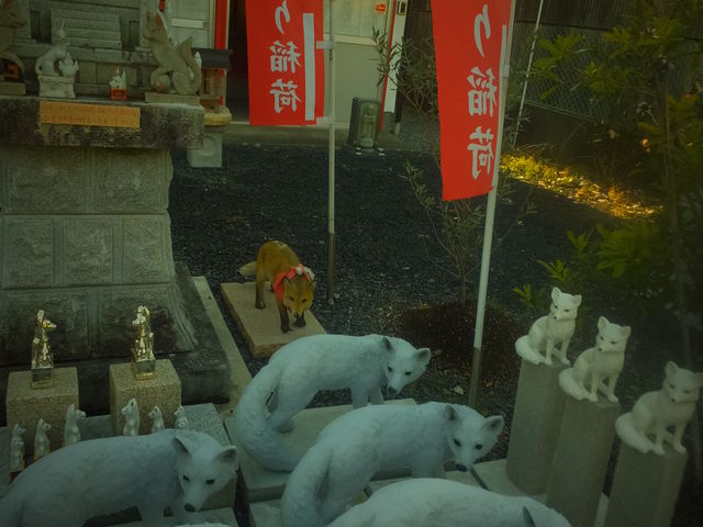 ���v���؂��ׁ@���v���c�R �^�򎛋���_���v���c�R�@�^��