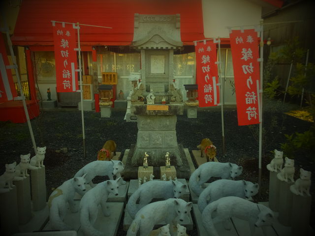 ���v���؂��ׁ@���v���c�R �^�򎛋���_���v���c�R�@�^��