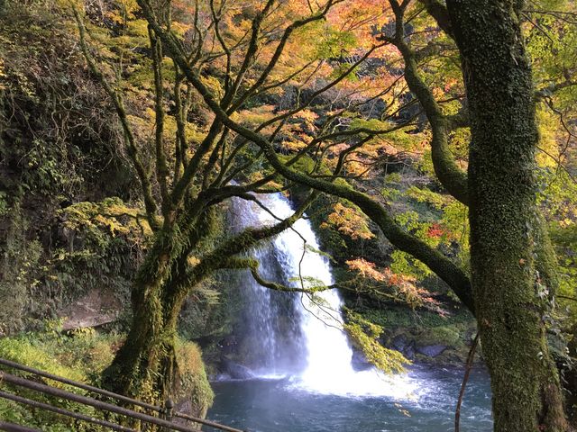 �g�t���y���߂܂����B_�����̑�