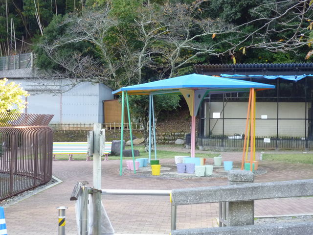 ����_�������������