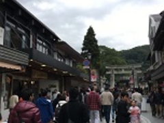 ɂႠ̔~}݂ւ̓eʐ^1