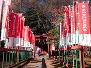 ΂Ȃ䂫䂫̓rR_ {K̓eʐ^5