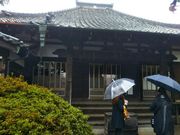 �Ƃ�˂�����̊ϑ����̓��e�ʐ^1