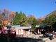 ゆばなゆきゆきさんの日光二荒山神社 中宮祠への投稿写真3