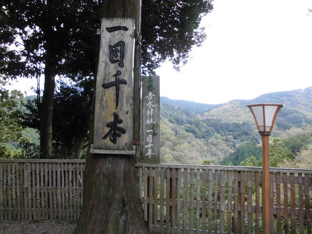 �g���_�Ќ��։��̈�ڐ�{�i�F_�g���_�Ёi���@�E�d���j