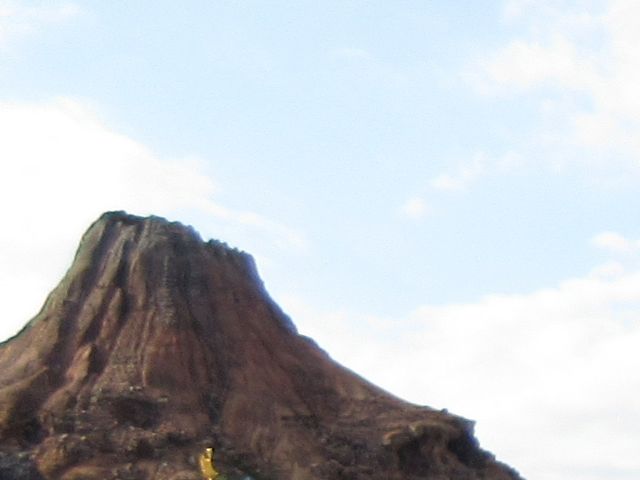 �V�[_�����f�B�Y�j�[�V�[(R)