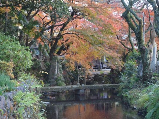 �g�t�Ƃ������܂��B_����E�n����̔~�ԑ�