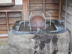 񂳂̖ȔTjgւ̓eʐ^2