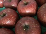 Ȃ䂫̒Ìy߂񂲃t@[̓eʐ^1