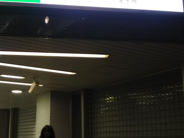 cJ擙X͂̏Zl̎R̓eʐ^1