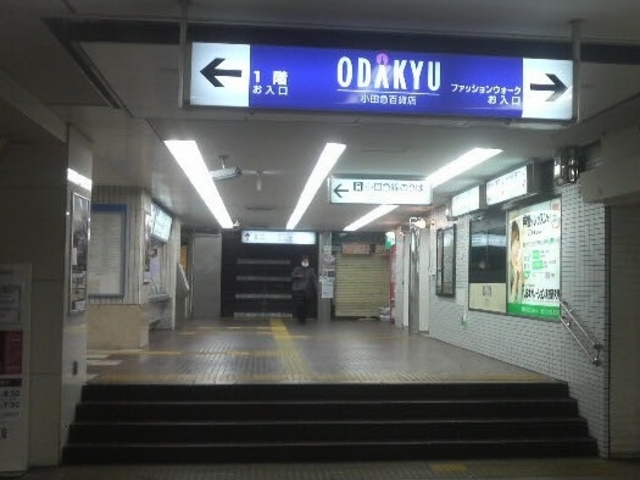 ���c�}���̉��D���o��Ƃ����ɏ��c�}�S�ݓX�̓����ł��B_���c�}�S�ݓX���c�X