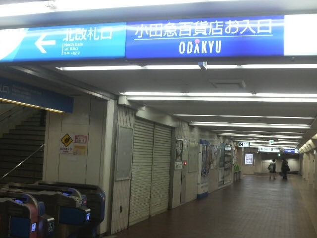 ���c�}���̉��D���o��Ƃ����ɏ��c�}�S�ݓX�̓����ł��B_���c�}�S�ݓX���c�X