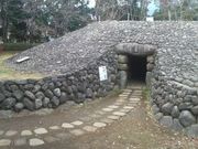 Ƃ񂳂̗̂͂jف@i `syÕWفj̓eʐ^5