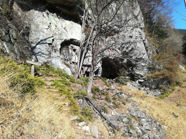 dai-neko̐_듴A̓eʐ^1