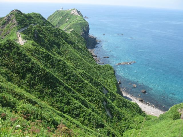 �ǂ��܂ł�������_�_�Ж�