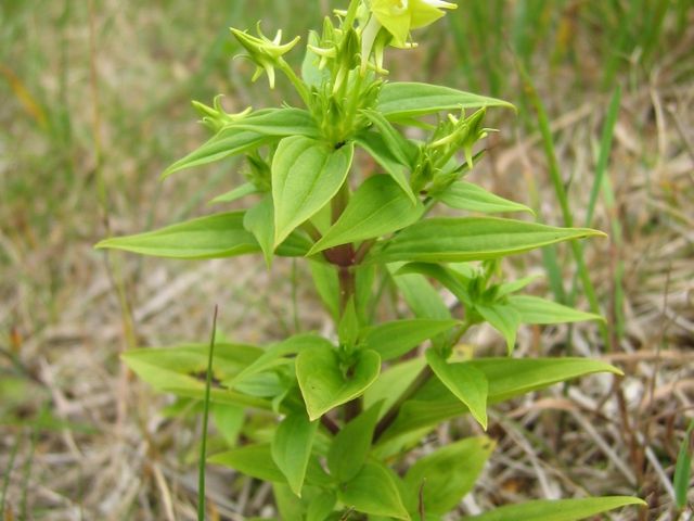 �n�i�C�J��_�I���t����