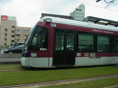 ^񂳂̌F{sdւ̓eʐ^1