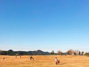 ݁[܂܂̖E`mC̓eʐ^1