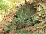 ߋT|~̏tRnт̐A̓eʐ^1