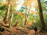 ߋT|~̏tRnт̐A̓eʐ^3