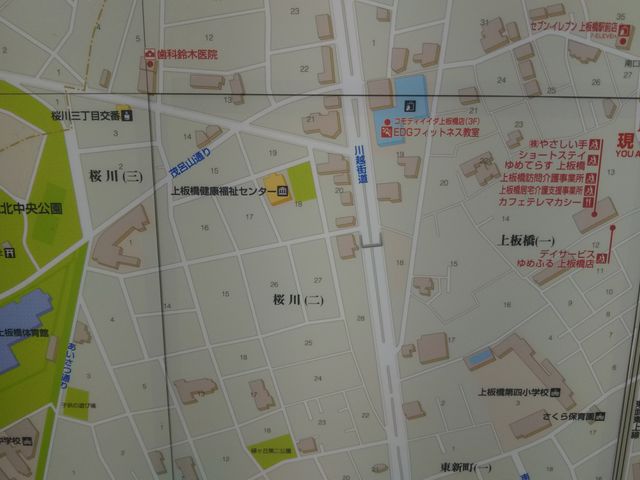 ��k���������̍Ŋ��w�͓�����̏���w�̓���o������k����10�����炢�B_��k��������