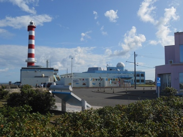 �t������_�m�V���b�v��