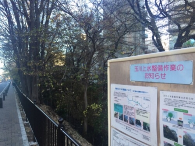 ���C�H�����s���Ă��܂����B_�ʐ�㐅