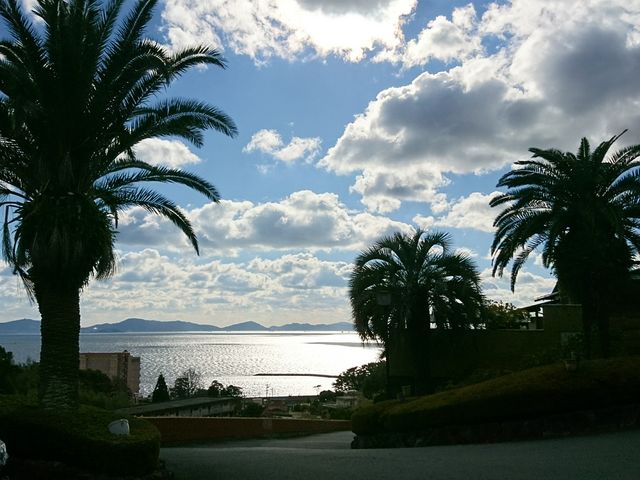 �Ђ����z�e���̒��ԏꂩ�猩����O�͘p_�O�J����