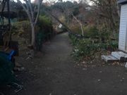 Kuda12̐[厛RLE쑐̓eʐ^1