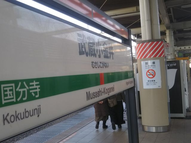 cJ擙X͂̏Zl̂΂ǂSԈ̓eʐ^1