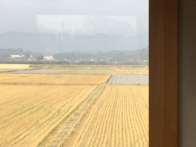 �ԑ�_���ܐ�S��