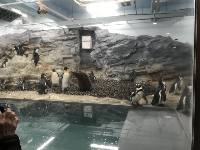 �y���M��_���R������