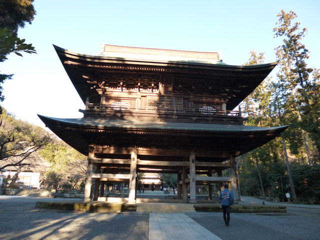 �����Ȍ��z���ł�_�R��i�~�o���j