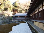 �g�����\����̑����i�~�o���j�̓��e�ʐ^1