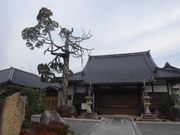 ney����̐������̃C�u�L�̓��e�ʐ^1