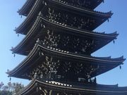 ��܂Ȃ�����̍��ю��i�_�ސ쌧���s�j�̓��e�ʐ^1