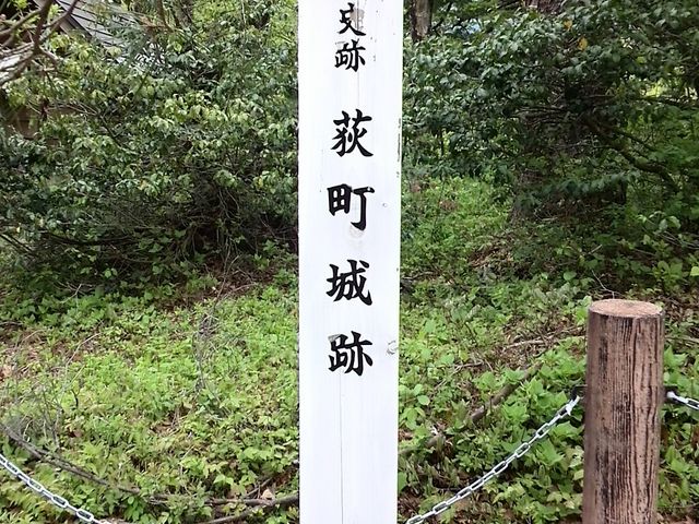 �������_�������