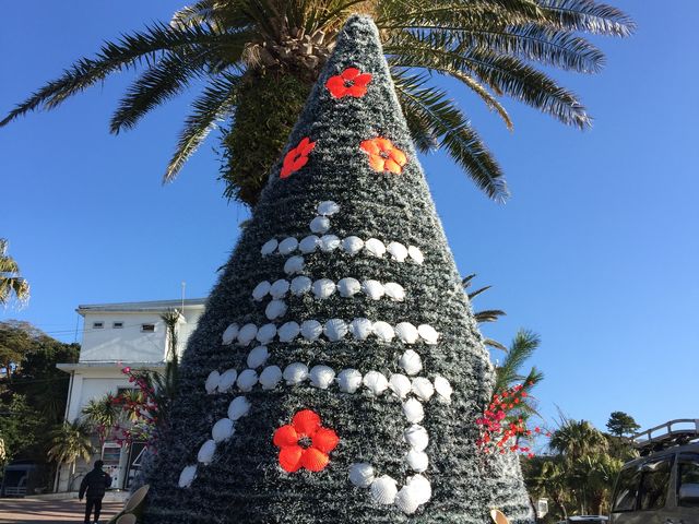 �C�m����1_���[�t�@���C�_�[�Y