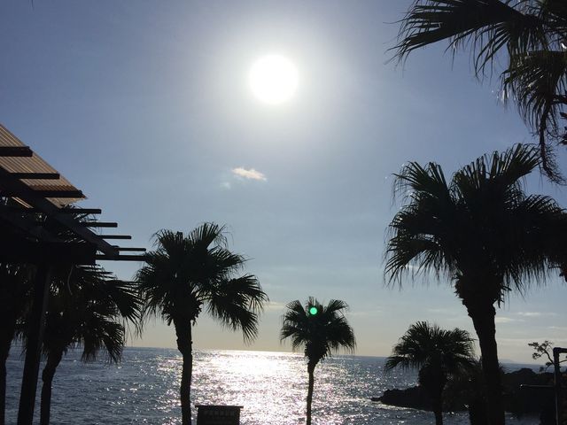 �C�m����3_���[�t�@���C�_�[�Y