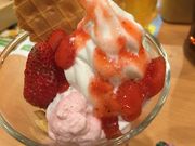 ha---i����̃K�X�g �����X�̓��e�ʐ^1