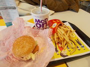 ̃}Nhih}mAVeBX̓eʐ^1