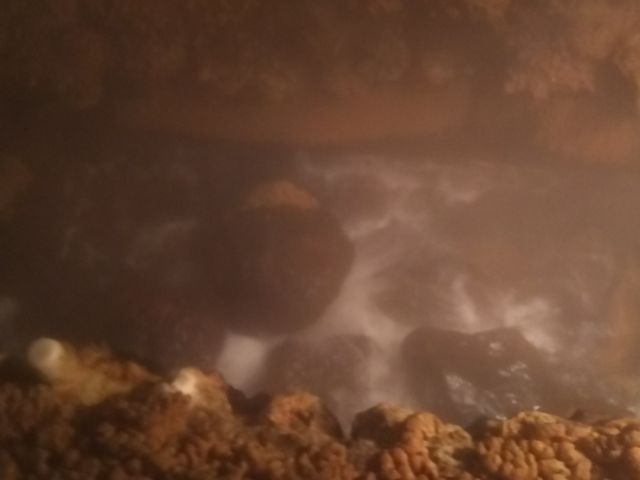 ���A���̕��o�ꏊ_���蓒