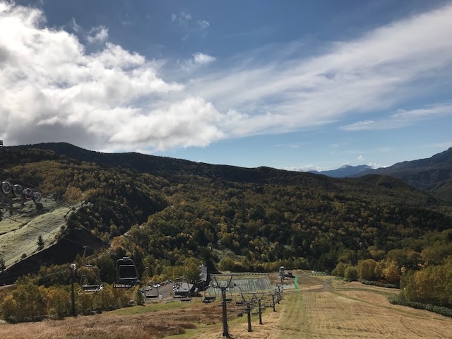 �g�t���t�g�B�g�t�����̂Q�T�ԑO�Ƃ����i�F�B_��������X�L�[��