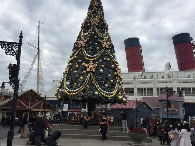 s.s�R�����r�A�O �c���[_�����f�B�Y�j�[�V�[(R)