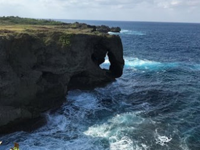 �i�F�ō��ł���_������