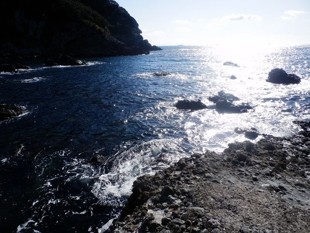 磯釣りをしている人がいらっしゃいました_和歌の浦遊歩道